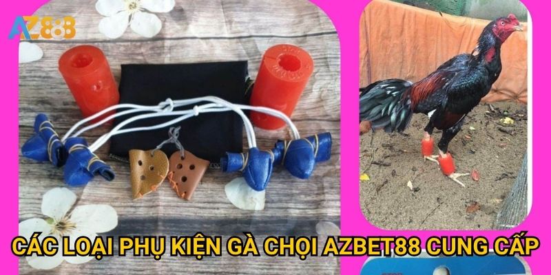 Các loại phụ kiện gà chọi Azbet88 cung cấp