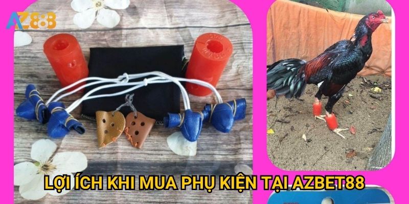 Lợi ích khi mua phụ kiện tại Azbet88