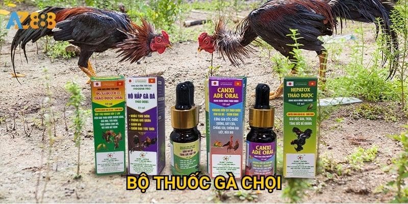 Bộ thuốc gà chọi Azbet88 có đủ để chăm sóc toàn diện?