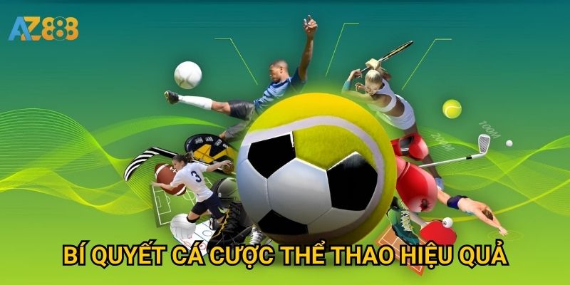 Bí quyết cá cược thể thao hiệu quả